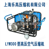 LYW300F哪里买呼吸高压空气压缩机