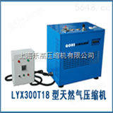LYW300T18LYW300T天然气压缩机厂商