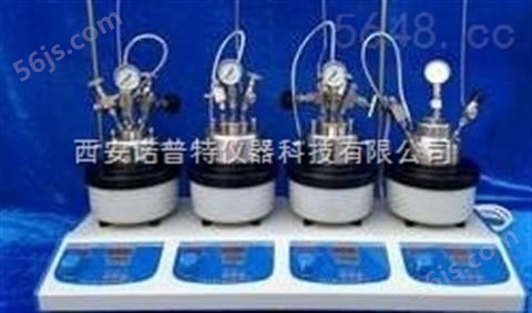 专业生产微型高压反应釜反应器