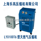 LYX100T6新年特惠天然气压缩机